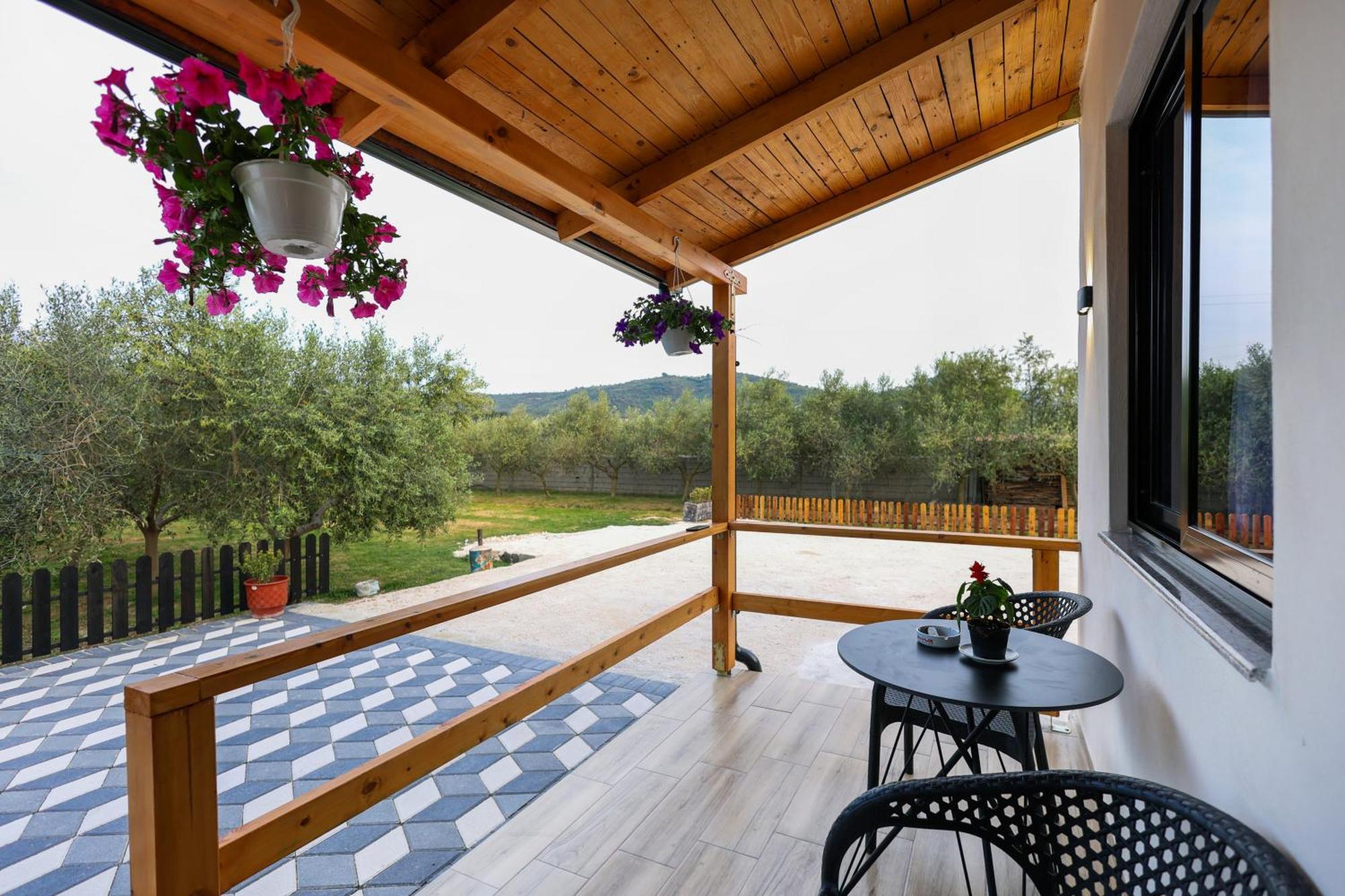 Olive Oasis Studio Берат Екстериор снимка